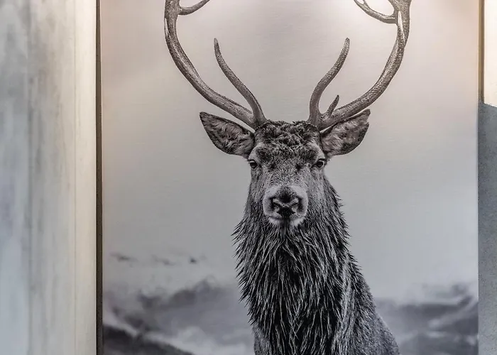 Villa Herkulesa Zakopane