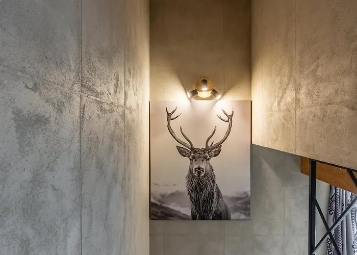 ヴィラ Herkulesa *